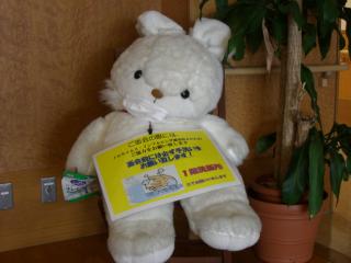 cimg0303.JPG