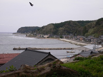 iori
