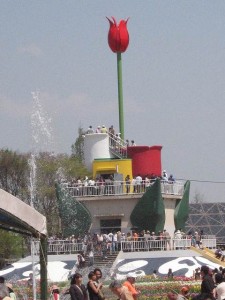 img_1346