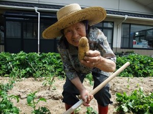 収穫