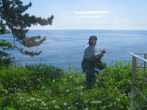s-e794bbe5838f-002